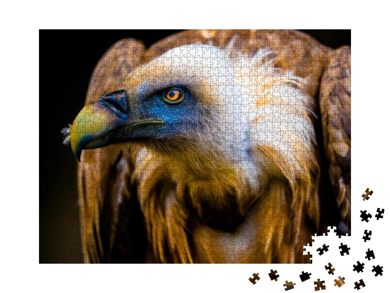 Portrait of a Young Vulture... Jigsaw Puzzle with 1000 pieces