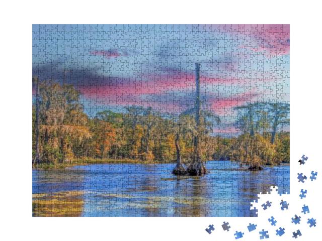 Wakulla Springs Swap Everglades Florida... Jigsaw Puzzle with 1000 pieces