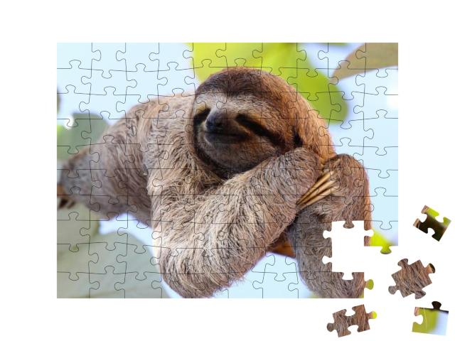 Happy Sloth Hanging on the Tree... Jigsaw Puzzle with 100 pieces