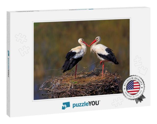 Pair of White Stork Birds on a Nest During the Spring Nes... Jigsaw Puzzle