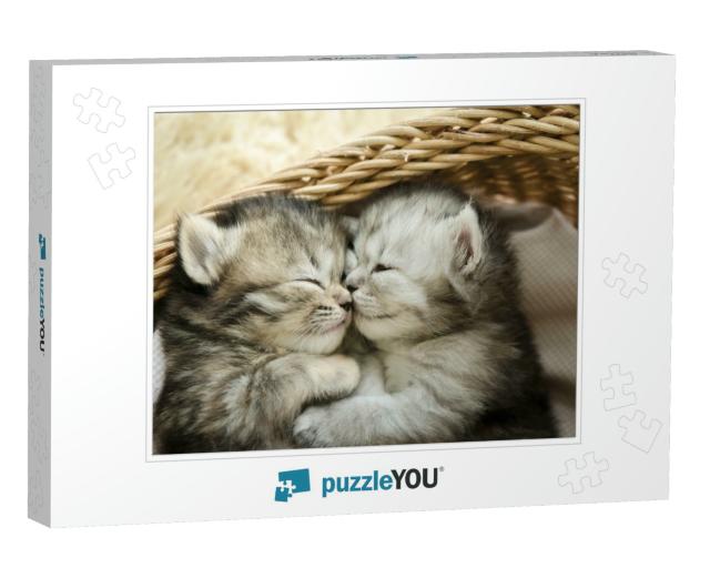 Cute Tabby Kittens Sleeping & Hugging in a Basket... Jigsaw Puzzle