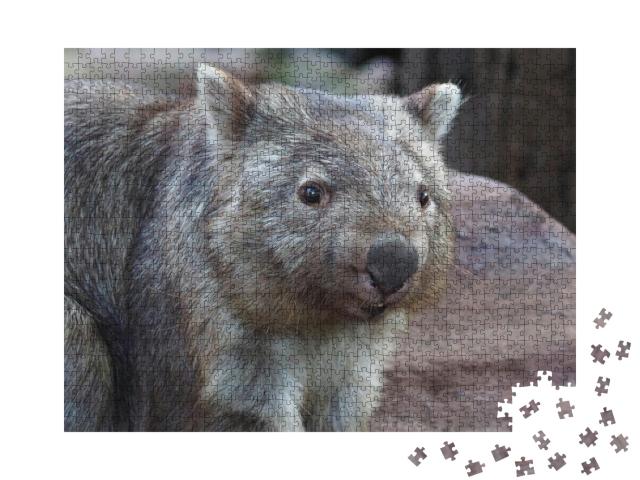 Stocky Robust Powerful Common Wombat in a Cheerful Happy... Jigsaw Puzzle with 1000 pieces