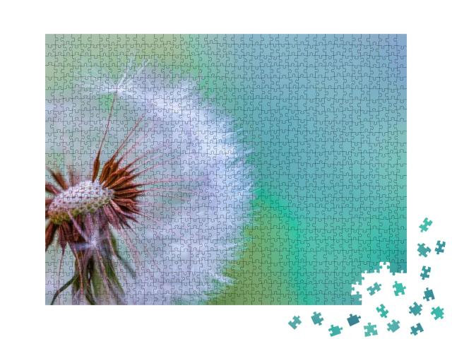 Closeup of Abstract Dandelion, Artistic Nature Closeup. S... Jigsaw Puzzle with 1000 pieces