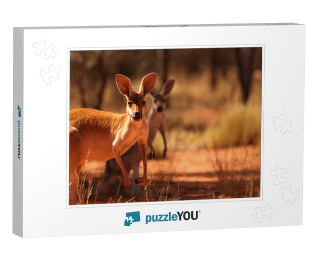 A Female Red Kangaroo with Her Joey on the Red Sand of Ou... Jigsaw Puzzle