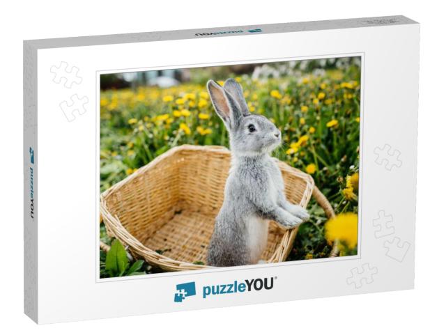 Gray Rabbit in the Garden in the Basket... Jigsaw Puzzle