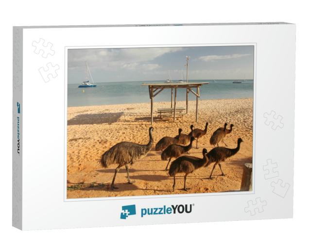 Emus on the Beach in Western Australia... Jigsaw Puzzle