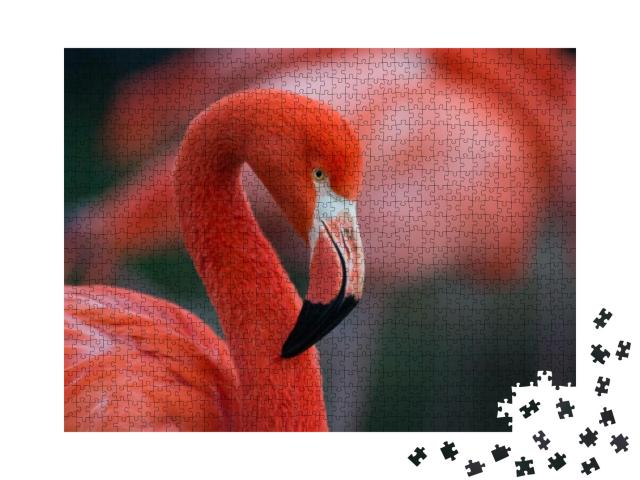 Flamingo Isolated... Jigsaw Puzzle with 1000 pieces