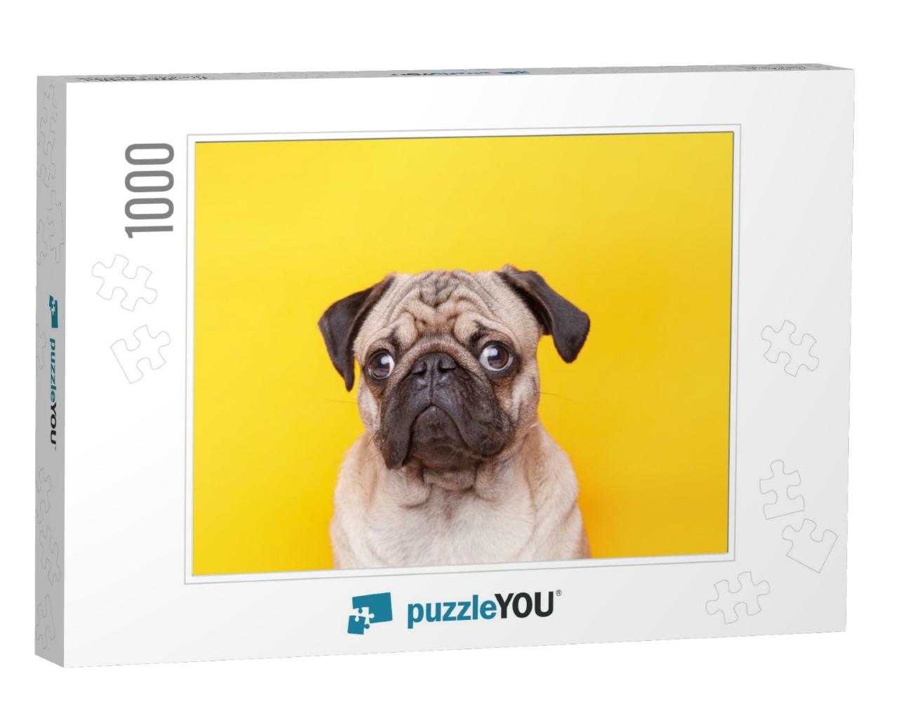 Portrait of Adorable, Happy Dog of the Pug Breed. Cute Sm... Jigsaw Puzzle with 1000 pieces