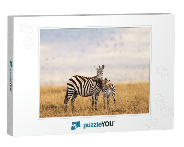 Burchells or Plains Zebra in Tanzania... Jigsaw Puzzle