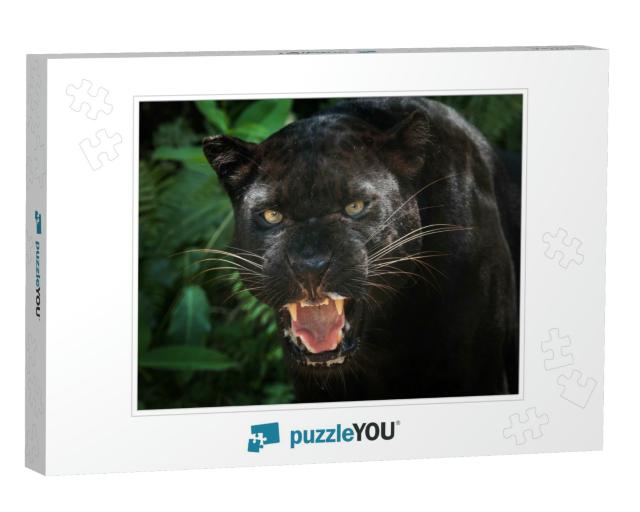 Black Panther... Jigsaw Puzzle