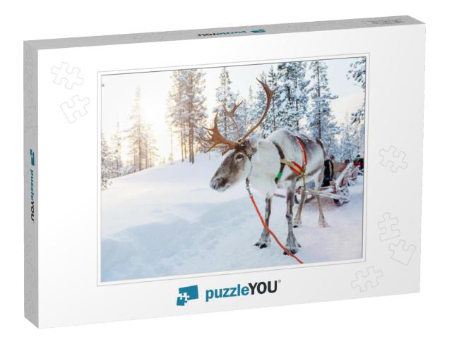 Reindeer in a Winter Forest in Finnish Lapland... Jigsaw Puzzle