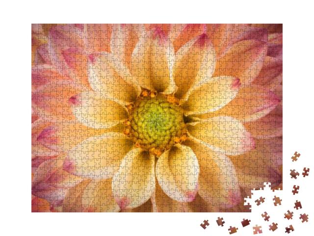 Dahlia Colorful Flower Macro Shot... Jigsaw Puzzle with 1000 pieces