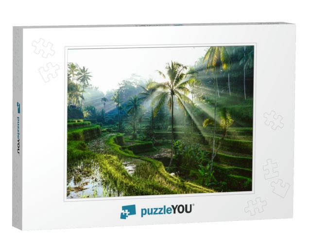 Bali Rice Terraces... Jigsaw Puzzle