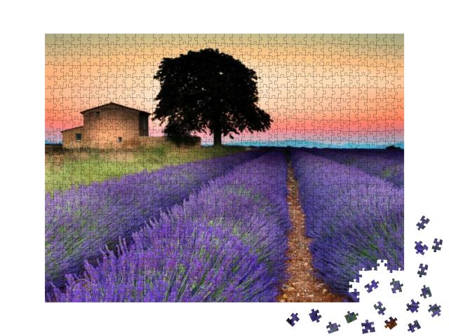 Summer Sunset in Valensole. Provence, France... Jigsaw Puzzle with 1000 pieces