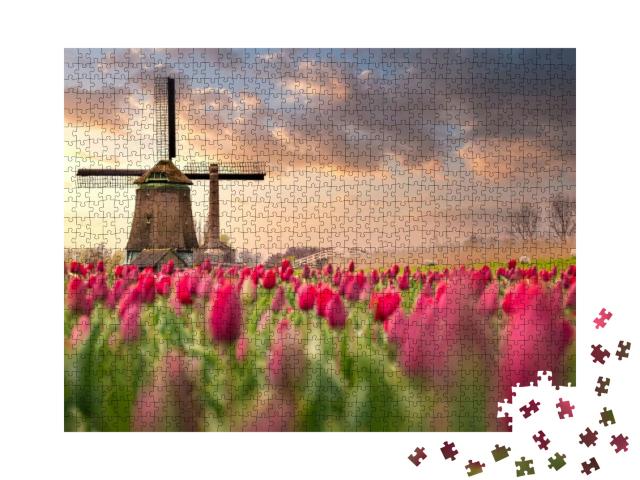 Tulip Fields & Windmill in Netherland, Near Lisse... Jigsaw Puzzle with 1000 pieces