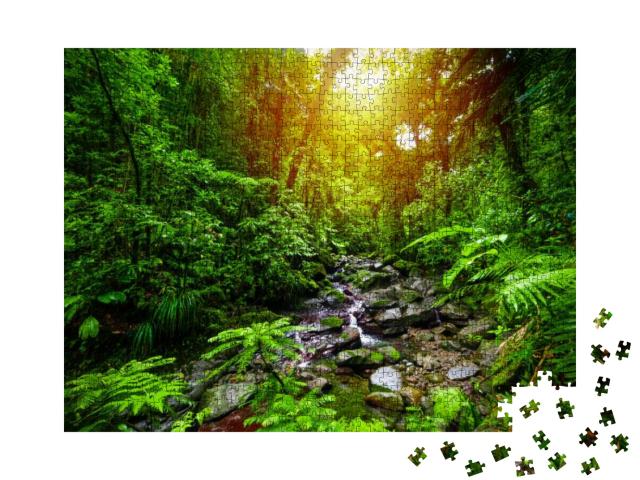 Small Stream in Guadeloupe Jungle At Sunset. Lesser Antil... Jigsaw Puzzle with 1000 pieces