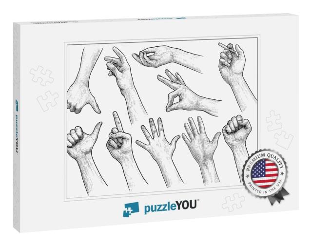 Hand Gesture Collection Illustration, Drawing, Engraving... Jigsaw Puzzle
