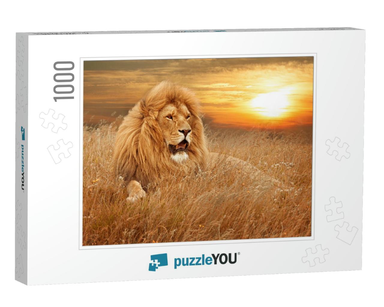 Picture of Lions in Grass... Jigsaw Puzzle with 1000 pieces