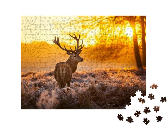 Red Deer in Morning Sun... Jigsaw Puzzle with 500 pieces