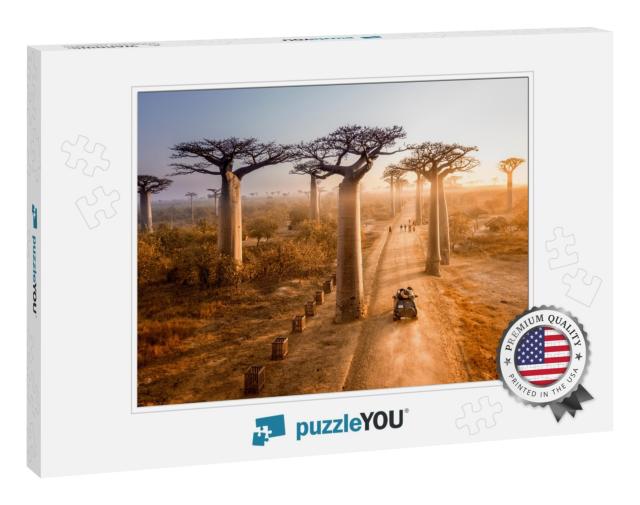 Beautiful Baobab Trees Avenue of the Baobabs in Madagasca... Jigsaw Puzzle