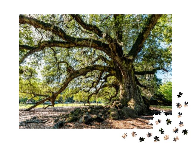 Oldest Southern Live Oak in New Orleans Audubon Park on S... Jigsaw Puzzle with 1000 pieces