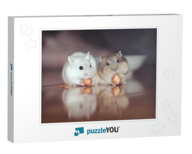 Cute Little Lovely Russian Dwarf Hamster Couple Very in L... Jigsaw Puzzle