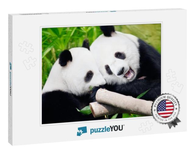 Couple of Cute Giant Pandas Eating Bamboo Shoots... Jigsaw Puzzle