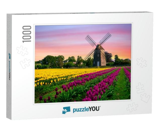 Windmill in Beautiful Color Tulips Field... Jigsaw Puzzle with 1000 pieces