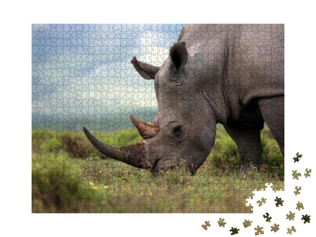 A Close Up Photo of an Endangered White Rhino / Rhinocero... Jigsaw Puzzle with 1000 pieces