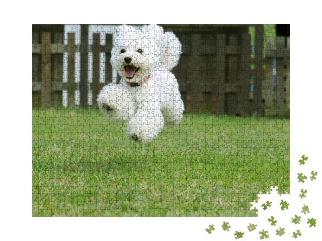 White Toy Poodle Playing in the Garden... Jigsaw Puzzle with 1000 pieces