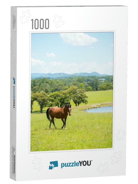 Horse in Farm Countryside of Nsw... Jigsaw Puzzle with 1000 pieces