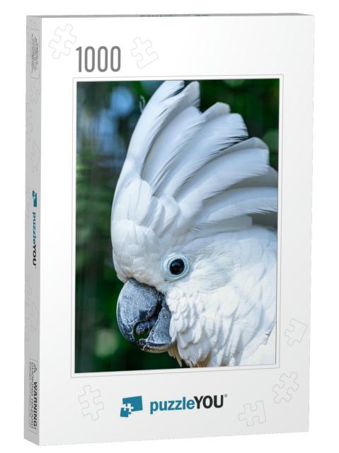 The White Cockatoo Cacatua Alba, Also Known as the Umbrel... Jigsaw Puzzle with 1000 pieces