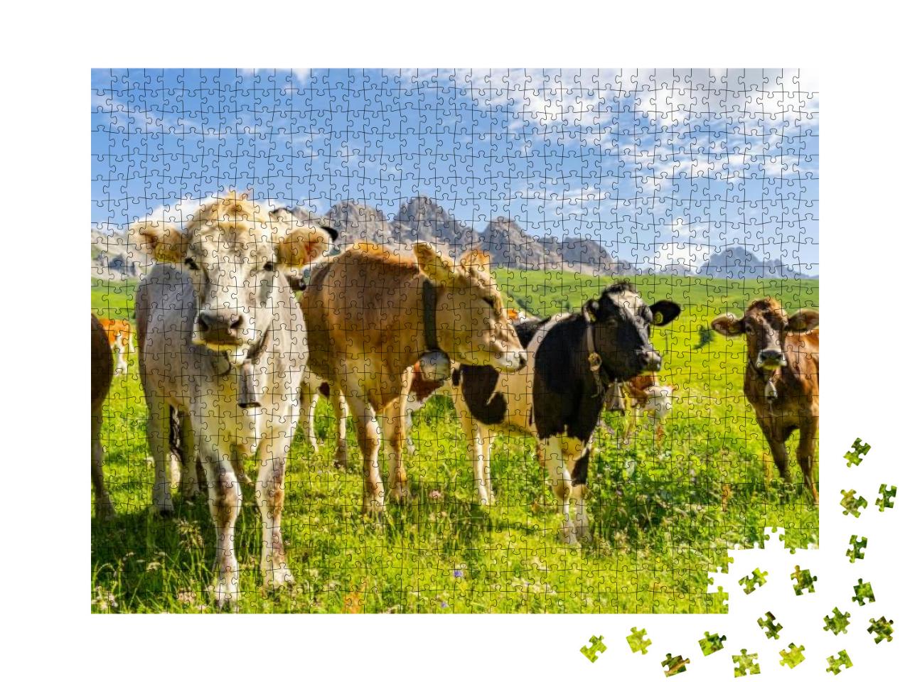 Idyllic Landscape with Herd of Cow Grazing on Green Field... Jigsaw Puzzle with 1000 pieces