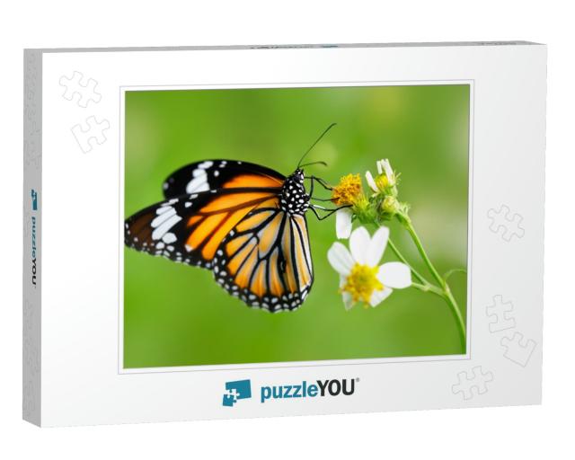 Closeup Butterfly on Flower Common Tiger Butterfly... Jigsaw Puzzle