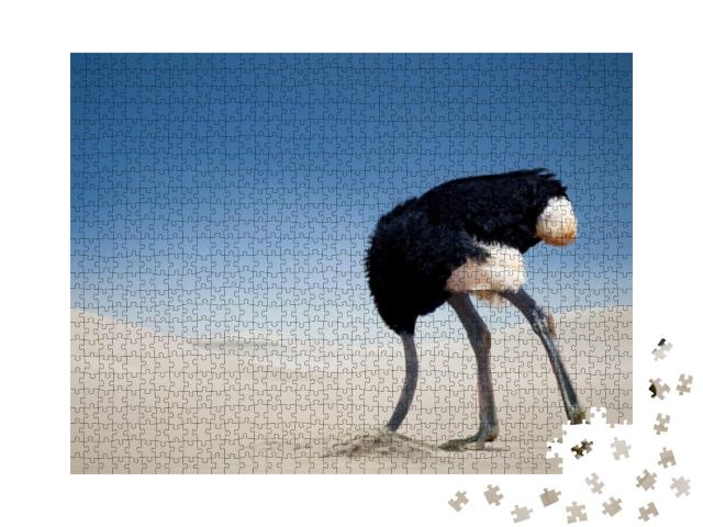 Ostrich Burying Head in the Sand, Tsavo East National Par... Jigsaw Puzzle with 1000 pieces