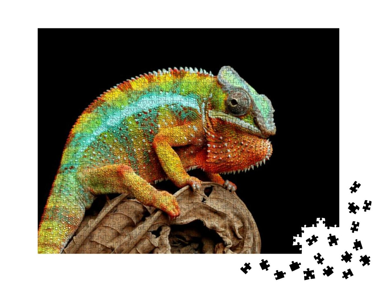 Beautiful of Chameleon Panther, Chameleon Panther on Bran... Jigsaw Puzzle with 1000 pieces