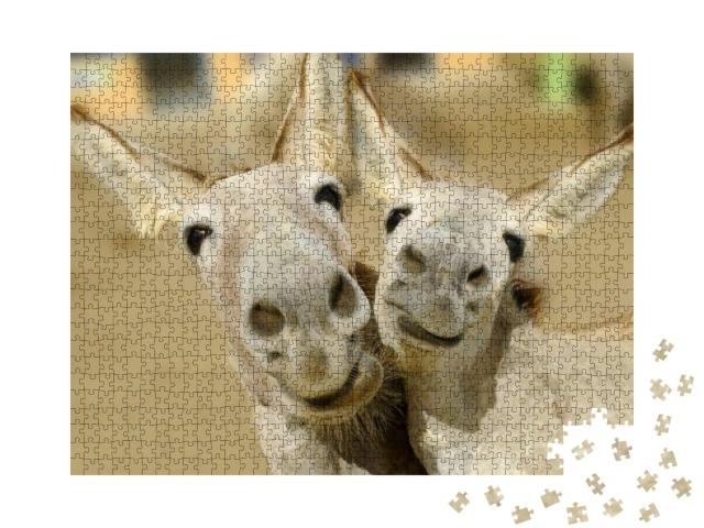 Two Cream Colored Donkeys Pose with Happy Smiles on Their... Jigsaw Puzzle with 1000 pieces