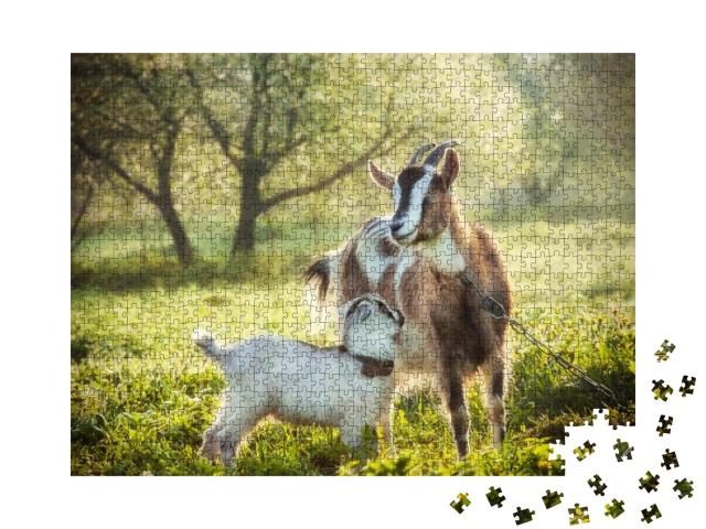 Goat with a Baby Goat in a Bright Morning Sun Surrounded... Jigsaw Puzzle with 1000 pieces