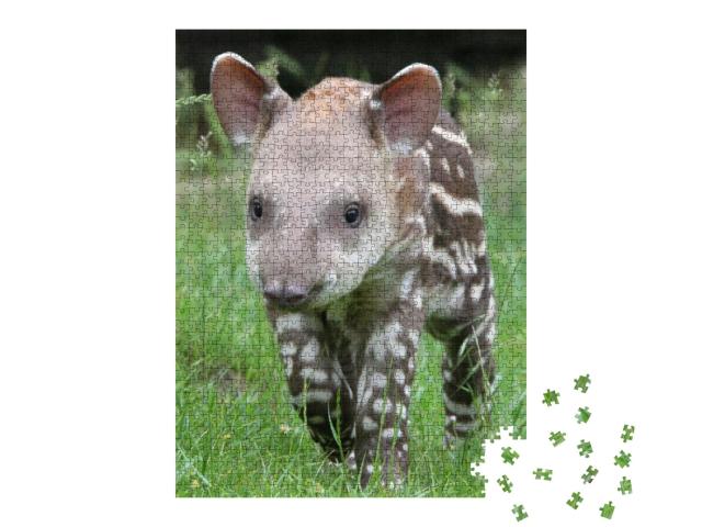Tapir... Jigsaw Puzzle with 1000 pieces