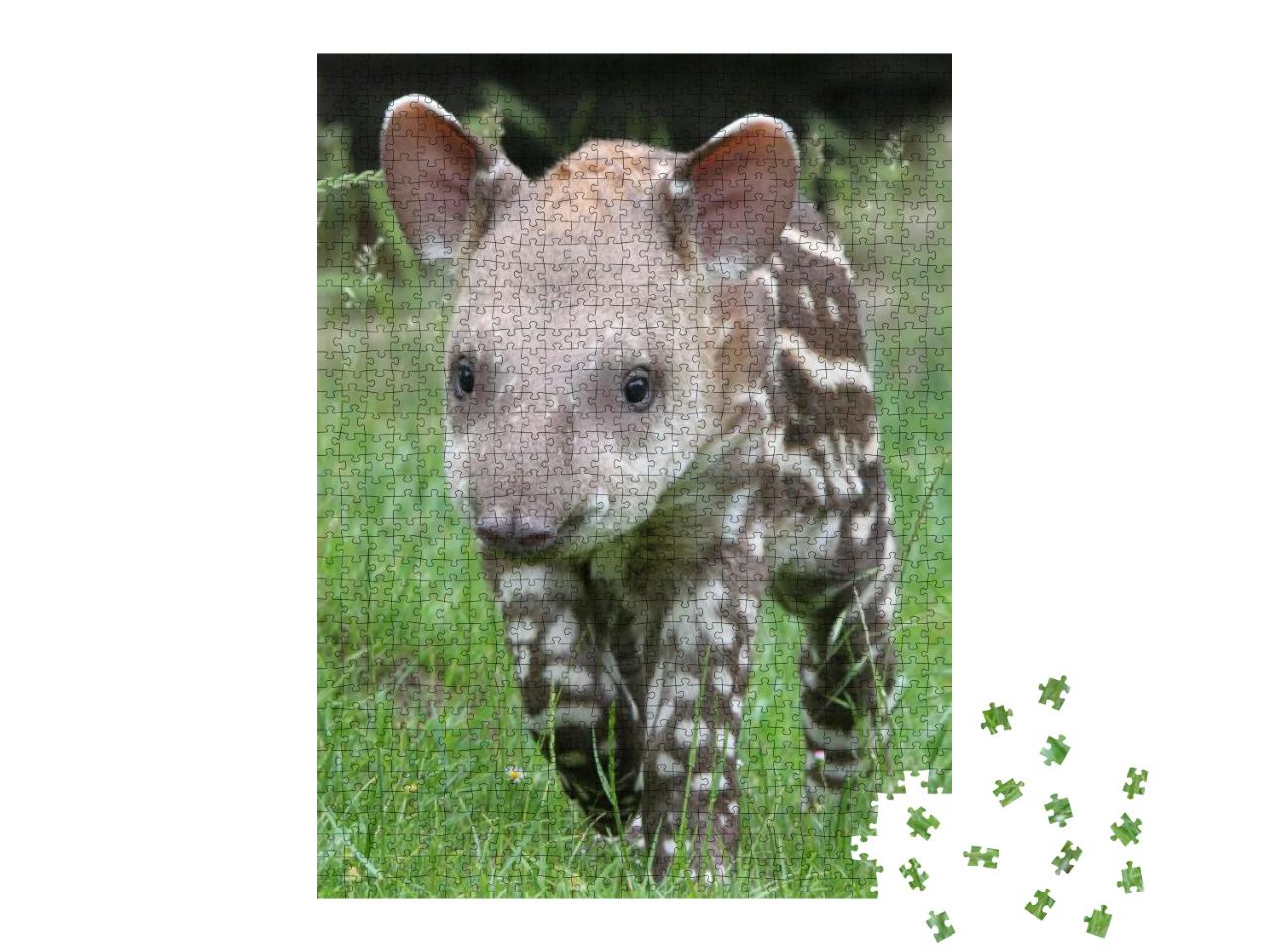 Tapir... Jigsaw Puzzle with 1000 pieces