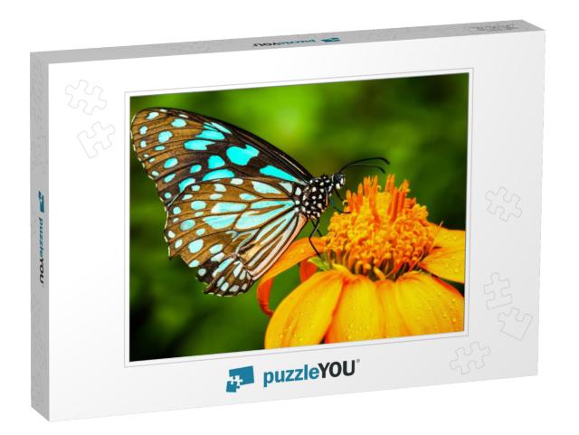 Blue Butterfly Fly in Morning Nature... Jigsaw Puzzle