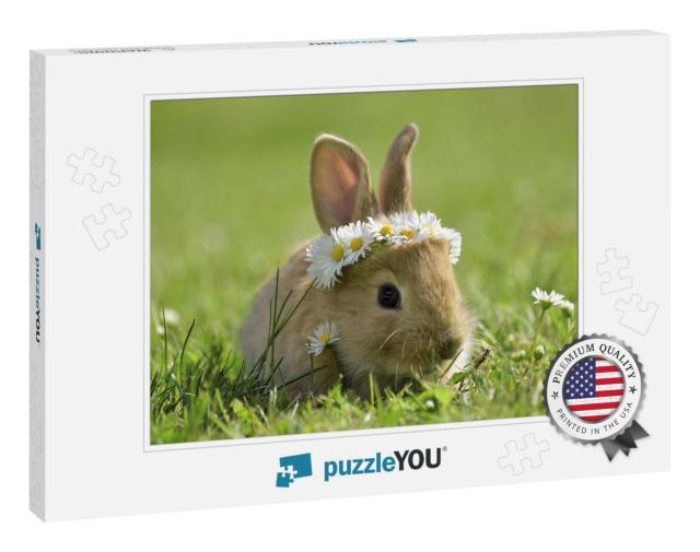 Bunny in Grass, Daisy Coronet, Spring & Easter... Jigsaw Puzzle