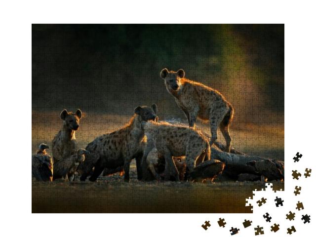 Africa Wildlife. Spotted Hyena, Crocuta Crocuta, Pack wit... Jigsaw Puzzle with 1000 pieces