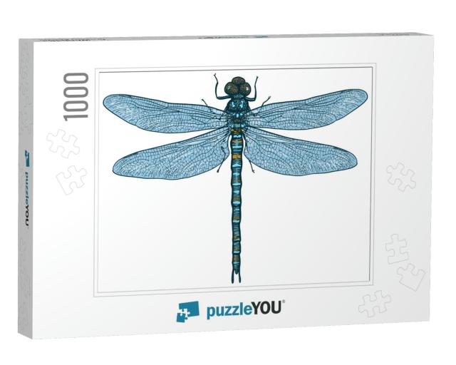 Dragonfly Illustration, Engraving, Drawing, Ink, V... Jigsaw Puzzle with 1000 pieces