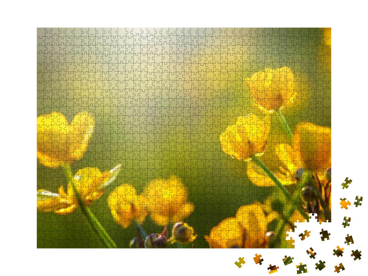 Field of Spring Flowers & Sunlight... Jigsaw Puzzle with 1000 pieces