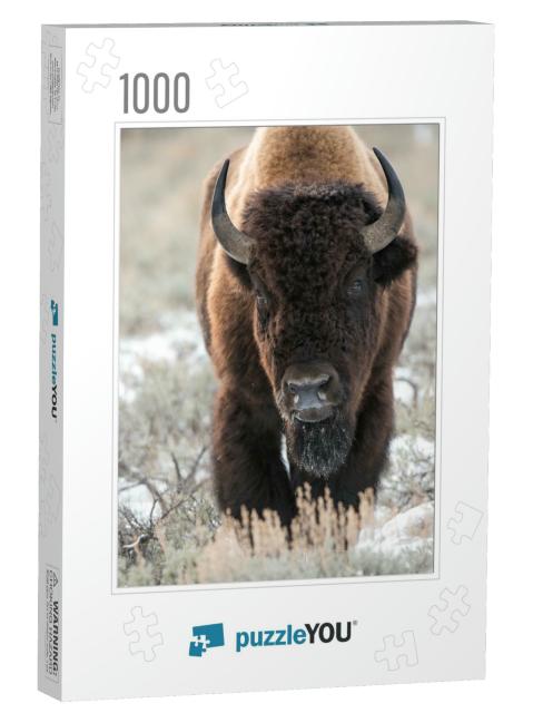 Bison, Buffalo... Jigsaw Puzzle with 1000 pieces