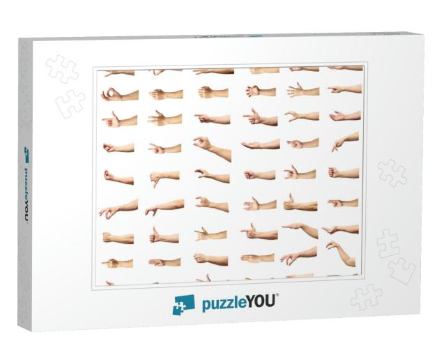 Multiple Male Caucasian Hand Gestures Isolated Over the W... Jigsaw Puzzle
