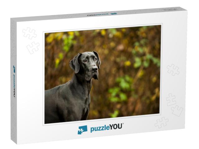 Great Dane Standing in Front of Vegetation... Jigsaw Puzzle