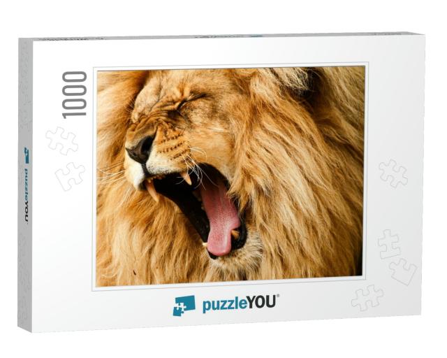 Roaring/Yawing Lion... Jigsaw Puzzle with 1000 pieces