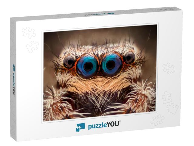 Extreme Magnification - Jumping Spider Portrait, Front Vi... Jigsaw Puzzle